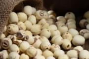 莲子泡水能经常喝吗 干莲子泡水喝的方法