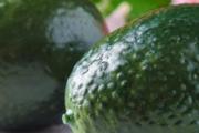 牛油果为什么吃起来是苦的 牛油果发苦还能吃吗