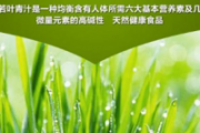 大麦若叶的营养价值