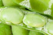 毛豆壳子属于什么垃圾 毛豆壳怎么快速剥开