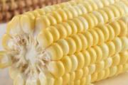 减肥期间可以吃甜玉米吗 减肥吃甜玉米还是糯玉米