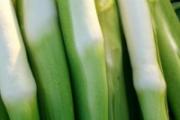茭白可以放冰箱保存吗 新鲜的茭白怎么保存