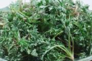 艾叶加一物，专治颈肩腰腿痛！用2次就不疼了，超有用
