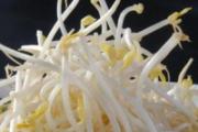 春天适合吃的菜 8种春菜不吃太可惜