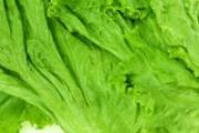 生菜和什么打汁 生菜汁能长期喝吗