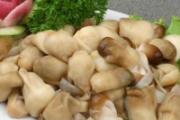 草菇宝宝可以吃吗 宝宝吃草菇有什么好处