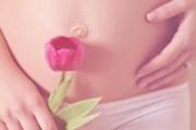 怎么保养女性私处 让私处永远年轻的秘方全在这了