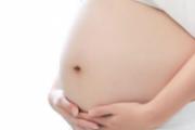 孕妇可以吃辣木籽吗 孕妇吃辣木籽会怎样