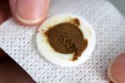 三伏贴适合人群 三伏贴的禁忌是什么