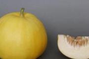 香瓜来月经可以吃吗