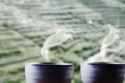 喝茶叶有什么好处 喝茶叶对身体有哪些作用