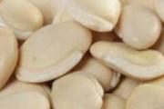 白扁豆怎么煮才能烂 白扁豆和什么一起煮粥