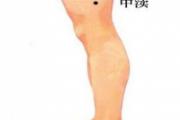 中渎准确位置图和作用 中渎作用功能主治