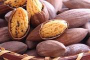 吃榧子有什么好处 榧子和大米可以一起吃吗