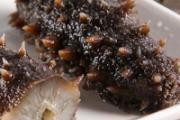 海参能和牛肉一起吃吗 哪些人不适合吃海参