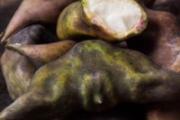 菱角长毛了还能吃吗 煮熟的菱角怎么保存