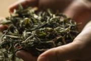 茶叶都有哪些用途 茶叶的十大生活妙用