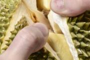 榴莲壳有什么功效与作用 榴莲壳有什么食用价值