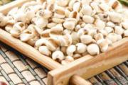 煮薏米粥要放多少水 煮薏米粥能放碱吗