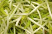绿豆芽的功效与作用