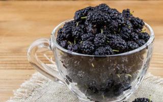 花青素的功效与作用 花青素含量高的水果 花青素的副作用 乐哈健康网