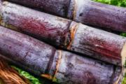 秋冬润肺的水果有哪些 6类食物一定要知道