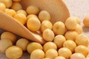 女人吃什么抗衰老美颜 5种抗衰老食物让40岁女人变20岁