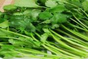 香菜怎么保存到冬天吃 如何挑选好的香菜