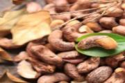 怎么选品质好的腰果 腰果烧焦了能吃吗