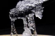 雪燕的功效与作用