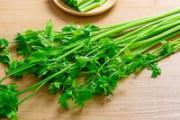 一岁宝宝可以吃芹菜吗 一岁宝宝吃芹菜有什么好处