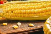 玉米须煮多久可以喝 玉米须可以煮几次水