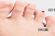 足窍阴在什么地方 足窍阴的作用功能主治