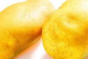吃土豆的好处 土豆的食用禁忌