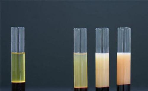 血脂高吃什么好 这些食物是血液垃圾的天敌