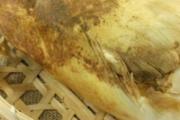 冬天吃什么菜好 这些根茎类食物不容错过