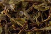 茶叶渣的用途 还不用起来吗