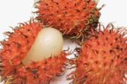 红毛丹孕妇可以吃吗
