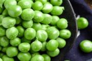 豌豆可以生吃吗 豌豆不熟会中毒吗