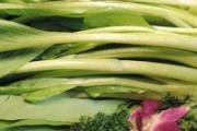 糖尿病能吃油菜吗 吃油菜有什么好处