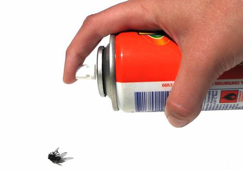 家里喷了大量杀虫剂直接睡会怎样