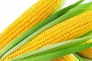 吃玉米减肥吗 玉米减肥法5天减10斤