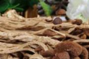 吃茶树菇有什么功效 茶树菇有什么营养