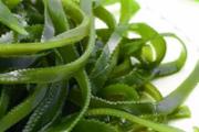 裙带菜与海带哪个好 裙带菜和海带哪个热量低