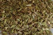 吃小茴香有什么好处 怎么用小茴香抗失眠
