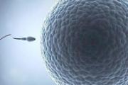 精子质量差怀孕会怎样