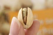 坚果有哪些种类 各种坚果的挑选