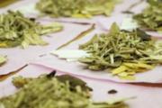 脚气让指甲坏掉怎么办 有哪些方法可以治疗