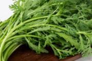 茼蒿菜草酸含量高吗 茼蒿菜痛风病人可以吃吗