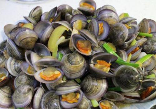 蚌有什么功效 蚌有什么营养 乐哈健康网
